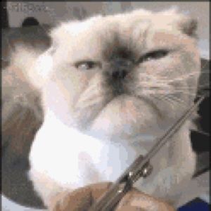 Meet your Posher, Kim